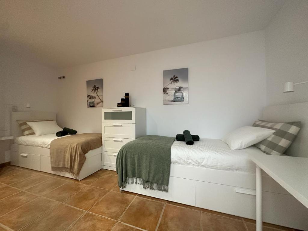 Casa Cullerer Apartment Amposta Ngoại thất bức ảnh